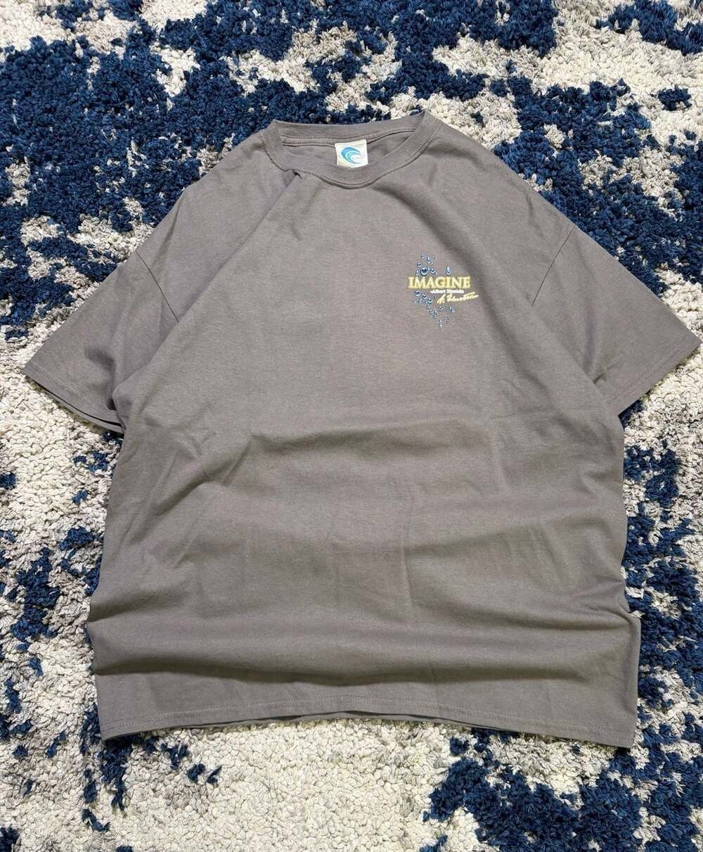 Imagine Albert Einstein Gray T-shirt - Coastal Classics - San Diego, California
